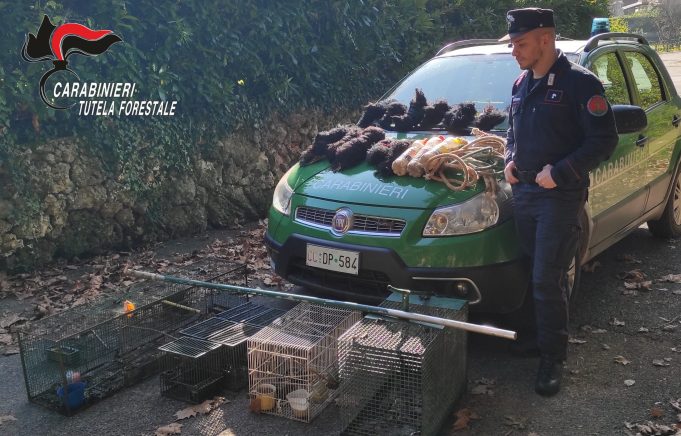 BRACCONAGGIO CARABINIERI FORESTALI