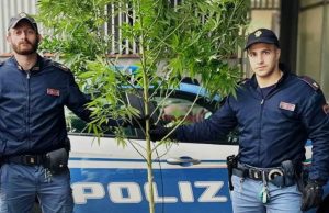 Devono confiscargli l’auto, trovano una pianta di marijuana
