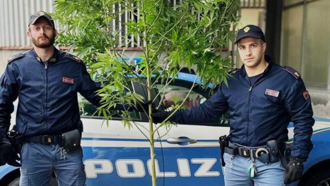 Devono confiscargli l'auto, trovano una pianta di marijuana