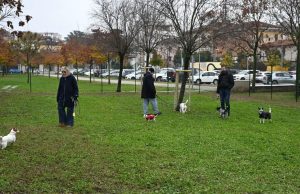 Nuova area cani al parco Venturini. Ora a Brescia sono 48
