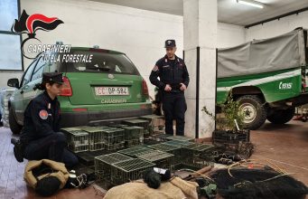 I Forestali sequestrano reti, trappole, anellini. Nei guai un 79enne