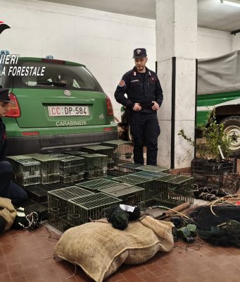 I Forestali sequestrano reti, trappole, anellini. Nei guai un 79enne
