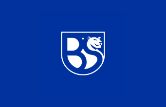 Union Brescia, sulla maglia solo la V. Il logo rimarrà quello di Union