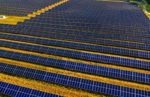Coldiretti Brescia: “No fotovoltaico a terra, tutelare il suolo agricolo”