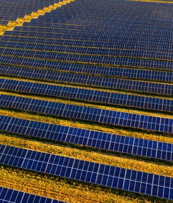 Coldiretti Brescia: “No fotovoltaico a terra, tutelare il suolo agricolo”
