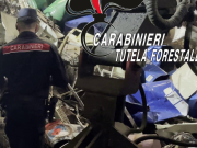 Traffico illecito di rifiuti, 33 denunce e multe per oltre 1,5 milioni di euro