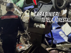 Traffico illecito di rifiuti, 33 denunce e multe per oltre 1,5 milioni di euro