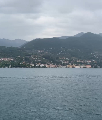 Il coregone torna nel Garda, una svolta attesa cinque anni