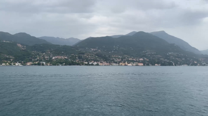 Il coregone torna nel Garda, una svolta attesa cinque anni