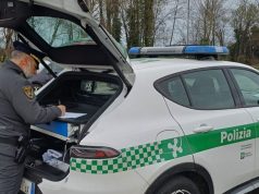 Individuata la presunta auto pirata di Isorella