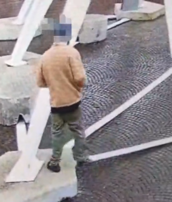 Leoni di San Zeno imbrattati: denunciato un 26enne bresciano