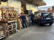 Sequestrata azienda con 90 tonnellate di bancali gestiti illegalmente