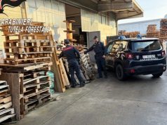 Sequestrata azienda con 90 tonnellate di bancali gestiti illegalmente