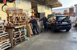 Sequestrata azienda con 90 tonnellate di bancali gestiti illegalmente