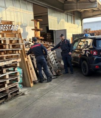 Sequestrata azienda con 90 tonnellate di bancali gestiti illegalmente