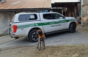 Bocconi sospetti, unità cinofile in azione con “Sole”