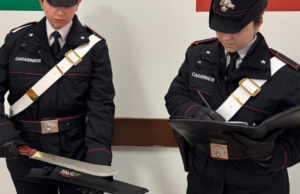 Ferisce il fratello con un coltello, arrestato 49enne italiano