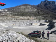 Forestali, maxi sanzioni ambientali: 9 milioni di euro nel 2025