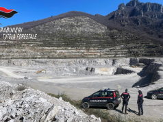 Forestali, maxi sanzioni ambientali: 9 milioni di euro nel 2025