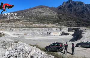 Forestali, maxi sanzioni ambientali: 9 milioni di euro nel 2025