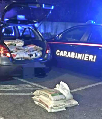 Forzano un deposito nella notte per rubare pellet: beccati sul fatto