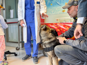 Guardia di Finanza, visita speciale in pediatria con i cani cinofili