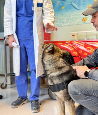Guardia di Finanza, visita speciale in pediatria con i cani cinofili