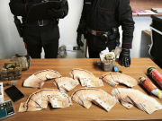 Maxi blitz antidroga: 17 arresti e oltre 84mila euro sequestrati