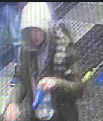 Fermato a Desenzano il presunto omicida del capotreno Ambrosio