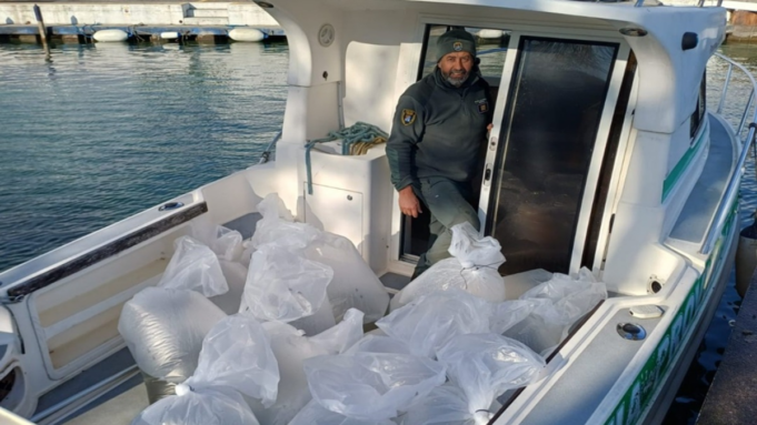 Garda e Iseo, ritorna il coregone quasi 33 milioni di larve in acqua