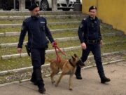 Beccato dal cane antidroga: in auto nascondeva dosi di hashish