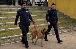 Beccato dal cane antidroga: in auto nascondeva dosi di hashish
