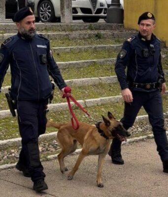 Beccato dal cane antidroga: in auto nascondeva dosi di hashish