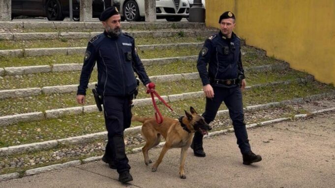 Beccato dal cane antidroga in auto nascondeva dosi di hashish