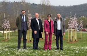 Piano del Verde, Italmark regala 1400 alberi alla città