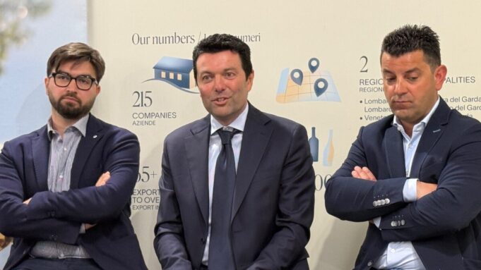 Condifesa propone la polizza per tutelare la qualità del Lugana