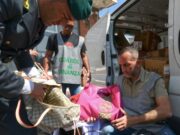 Contraffazione: nel 2025 oltre 81 milioni di prodotti sequestrati