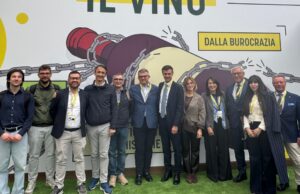 Mercati difficili ma il vino bresciano rilancia: i numeri sorprendono