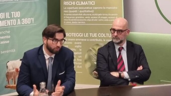 Nasce il “protocollo Lugana”, la polizza dedicata alle uve
