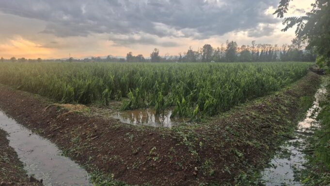Agricoltoti in ginocchio dopo la grandine molti i raccolti azzerati