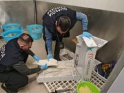Polpi e baccalà “taroccati”, blitz della Guardia Costiera sul Sebino