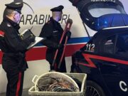 Saccheggia l’ex hotel abbandonato: fermato con 71 chili di rame