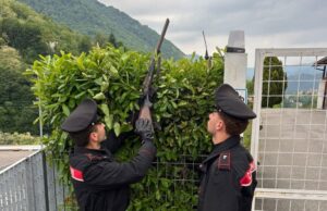 Spara nella notte e poi nasconde il fucile nella siepe: denunciato