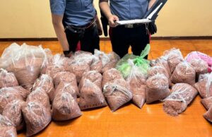 Roncadelle, ruba 242 chili di ottone e rame dall’azienda: arrestato