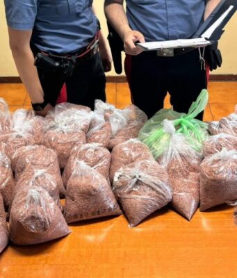 Roncadelle, ruba 242 chili di ottone e rame dall’azienda: arrestato
