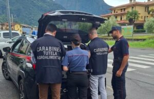 Kebabbaro irregolare: denuncia e 9mila euro di multa