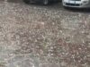 Violenta grandinata, albero caduto in tangenziale ovest. Traffico molto rallentato