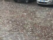 Violenta grandinata, albero caduto in tangenziale ovest. Traffico molto rallentato