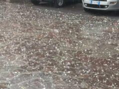 Violenta grandinata, albero caduto in tangenziale ovest. Traffico molto rallentato