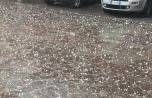Violenta grandinata, albero caduto in tangenziale ovest. Traffico molto rallentato